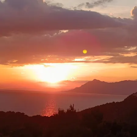 Fifty Shades Of Blue Lejlighed